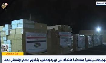جميل عفيفي: مصر تقدم كل الخدمات والمساعدات لأي دولة تتعرض لأزمة