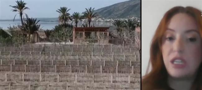 خبيرة شئون بيئية: 20 بؤرة حريق بسبب حرائق الغابات فى الجزائر (فيديو)