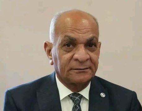 «حزب الريادة»: الرئيس السيسي دائما يسعى نحو مصلحة المصريين