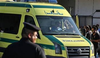 أنهو حياته وحرقوا حظيرة المواشي.. تفاصيل مقتل شاب على يد 10 بلطجية فى كفر الشيخ