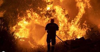 نحو 6 آلاف شخص تضرروا من حرائق الغابات فى الجزائر