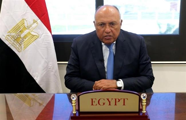 وزير الخارجية يشارك في لقاء مع كبرى الشركات الأمريكية المستثمرة في مصر