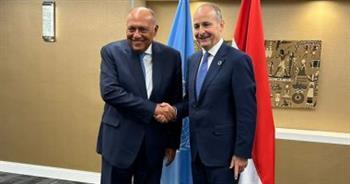 شكري ونظيره الأيرلندي يؤكدان أهمية الاستمرار في دفع أطر التعاون الثنائي في شتى المجالات