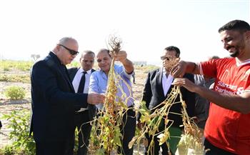   ضمن مشروع استصلاح ألف فدان.. محافظ قنا يشهد حصاد محصول فول الصويا