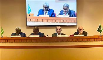 أبو الغيط يعرب عن تطلعه لعقد القمة العربية - الأفريقية الخامسة