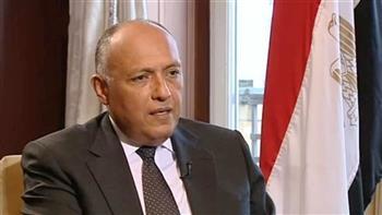 سامح شكري: مساع حثيثة لإعادة القضية الفلسطينية إلى الساحة الدولية