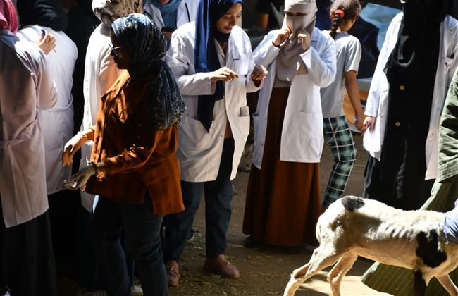 قافلة جامعة سوهاج البيطرية المجانية تتوجه لقرية عنيبس بمركز جهينه