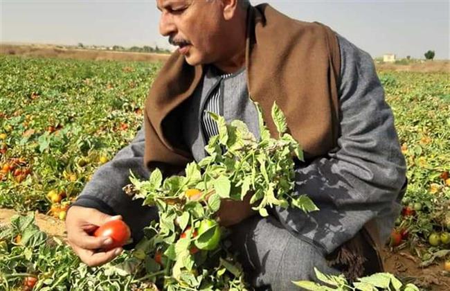 نقيب الفلاحين: ترشح السيسي في الانتخابات الرئاسية مطلب مُلح من كل المزارعين