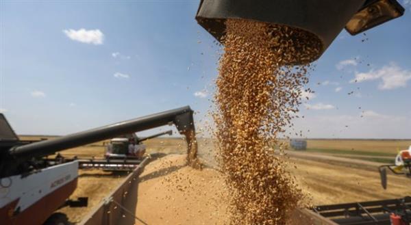 أوكرانيا تعلن حصاد 37.4 مليون طن من الحبوب والبذور الزيتية