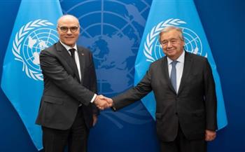   وزير خارجية تونس وأمين عام الأمم المتحدة يبحثان القضايا الدولية الراهنة