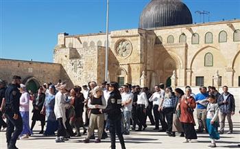   مستوطنون إسرائيليون يؤدون طقوس تلمودية في محيط المسجد الأقصى المبارك