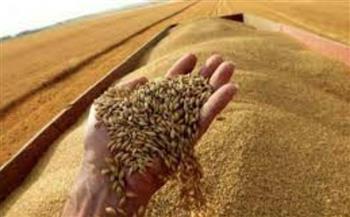     وزير التموين: الاحتياطي الاستراتيجي من القمح يكفي لمدة 4 شهر