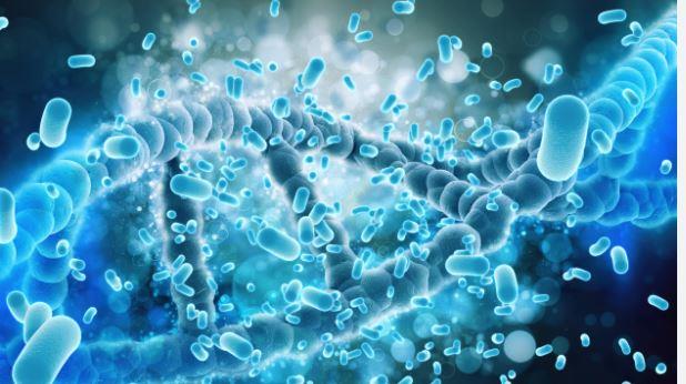 كيف تُحسن الميكروبيوم Microbiom أو البيئة الميكروبية في القولون 