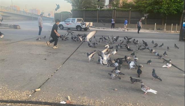 «الميدان» يتحول لمزار سياحي.. حكاية «حمام» التحرير فى أرض السلام