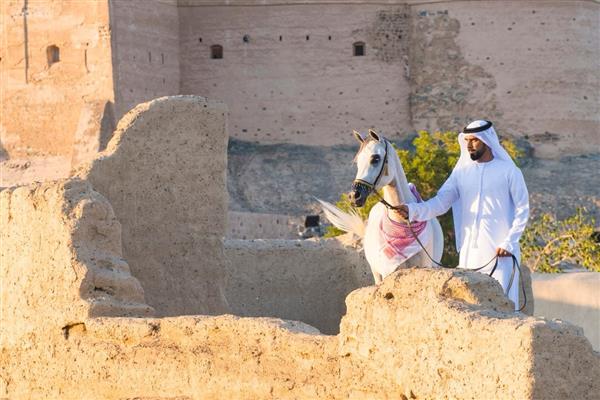 ما علاقة تربية الحيوانات الأليفة بالقلب والدماغ؟.. محمد بيشوه يجيب
