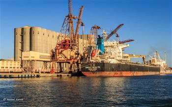   تداول 10 سفن حاويات وبضائع عامة بميناء دمياط