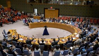   سفير بريطانيا لدى مجلس الأمن يعرب عن قلقه إزاء الوضع الهش في شرق الكونغو
