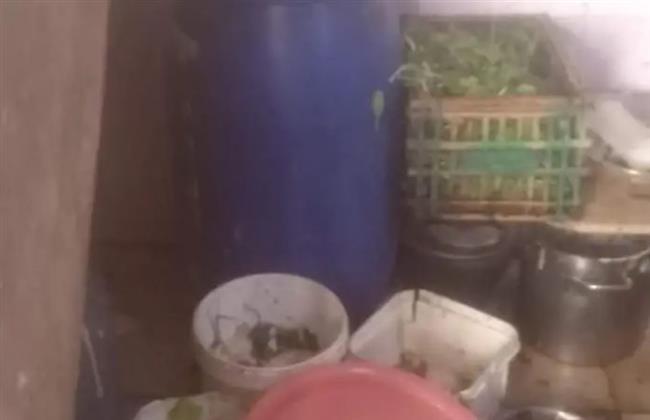 تحرير محاضر جنح صحية وغلق لإحدى المطاعم بمدينة دمياط