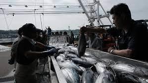   وزراء يابانيون يجتمعون غدا لبحث تدابير صناعة مصائد الأسماك المتضررة