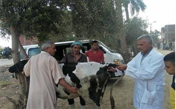   جامعة الزقازيق توجه قافلة بيطرية لقرية حسن بيه بمركز بلبيس