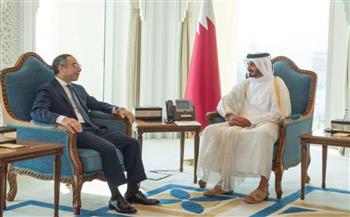   سفير مصر في الدوحة يبحث مع وزير الداخلية القطري تعزيز التعاون في المجال الأمني