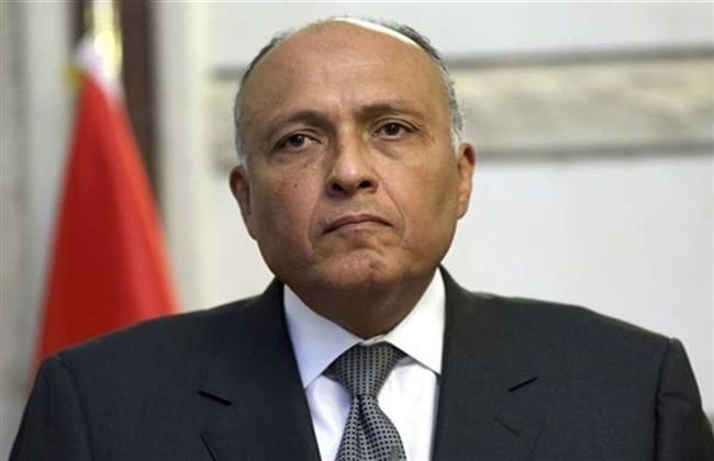 سامح شكري: حجم التجارة العربية اليابانية بلغ 100 مليار دولار في 2021