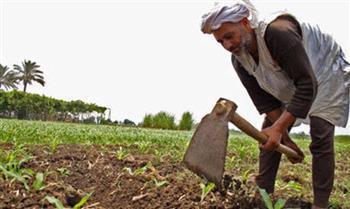  البرنامج الوطني لتعزيز مشاركة الفلاحين بالشأن العام يعيد إحياء عيد الفلاح 