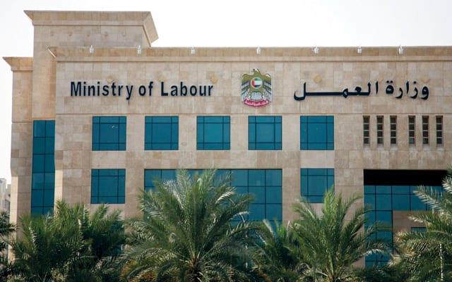 وزارة العمل : فرص عمل لشباب الإسماعيلية