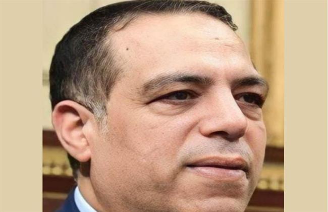 الصافى: القضية السكانية تلتهم جهود التنمية فى مصر