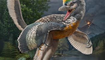   حيرت العلماء .. اكتشاف حفرية ديناصور تشبه الطيور
