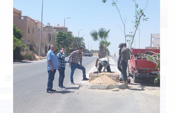 "جهاز الشروق" ينتهى من إستكمال زراعة وتجميل جزيرة محور "الربوه" 