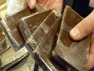 ضبط 79 قضية اتجار في المخدرات بمضبوطات أكثر من 200 كجم في حملة بمنطقة دلة بالفيوم