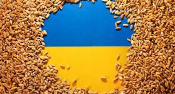  أوكرانيا تعلن تصدير أكثر من 5 ملايين طن من الحبوب والبقوليات
