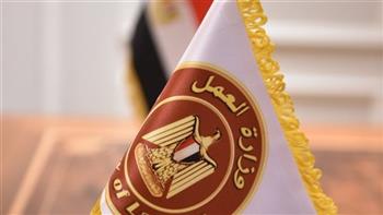   وزارة العمل : فرص عمل بالقطاع الخاص لشباب الأسكندرية 