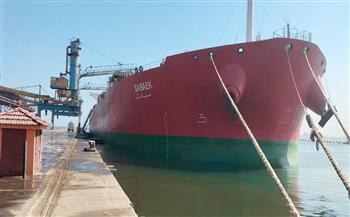   ميناء الإسكندرية يستقبل سفينة عملاقة تحمل 100 ألف طن قمح