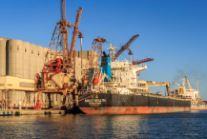   تداول 36 سفينة حاويات وبضائع عامة بميناء دمياط