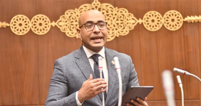 عضو الشيوخ يطالب بالتوسع في تطبيق خدمات الرعاية الصحية عن بعد