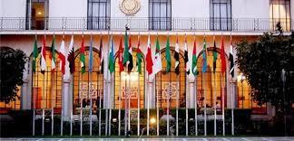   الجامعة العربية تؤيد دعوى جنوب إفريقيا ضد إسرائيل أمام محكمة العدل الدولية