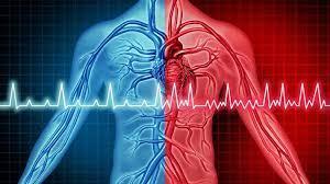   دراسة : الذكاء الإصطناعي يمكن أن يساعد في فحص الجزء الأيمن من القلب