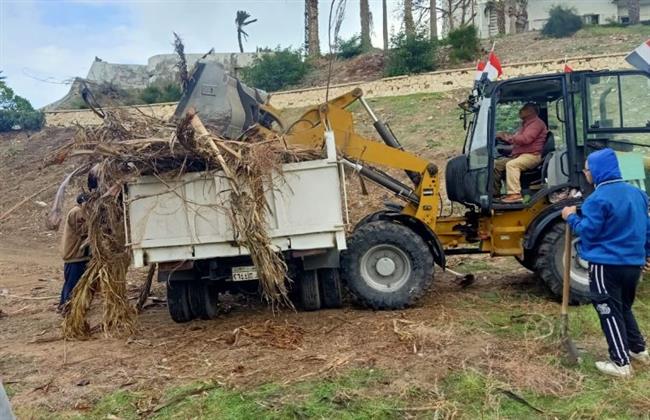 حي الجمرك يرفع كافة المخلفات الزراعية بمنطقة آثار كوم الناضورة