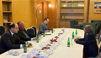   شكري يعقد جلسة مباحثات مع وزير خارجية إريتريا