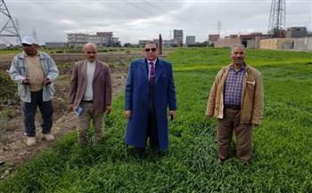 استمرار جولات وكيل وزارة الزراعة بـ البحيرة لمتابعة الأراضي المبورة
