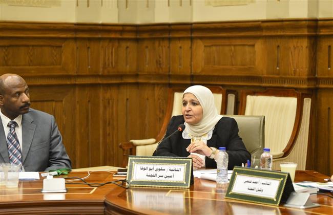 برلمانية ترفض إداعات الاحتلال الإسرائيلي ضد مصر أمام محكمة العدل الدولية
