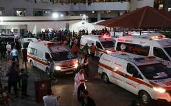   الصحة الفلسطينية: وصول أدوية إلى غزة 