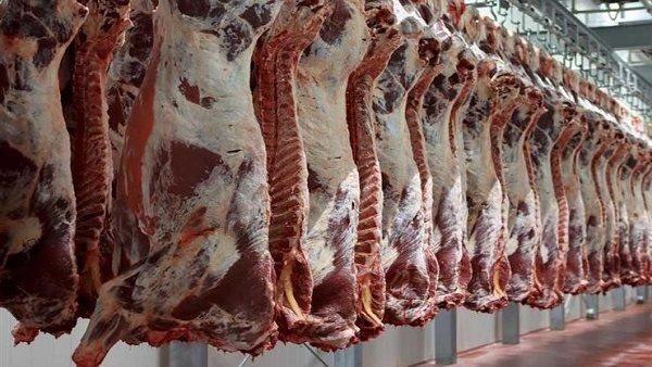 الزراعة : تعزيز مخزون اللحوم استعدادا لرمضان