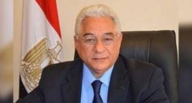 دبلوماسي سابق: جهود مصر تستهدف استمرار إحياء القضية الفلسطينية