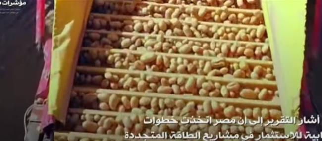 أستاذ اقتصاد: السوق المصرية مقصد حيوي لصناعة التعهيد حول العالم