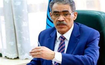 ضياء رشوان: لا يوجد حركة تحرر وطني في تاريخ العالم الحديث هزمت