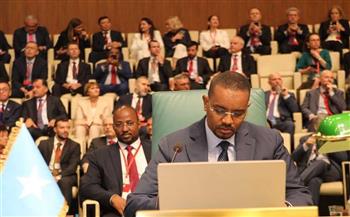   رئيس وزراء الصومال يطالب وزراء الخارجية العرب بالتكاتف لمواجهة مخطط إثيوبيا