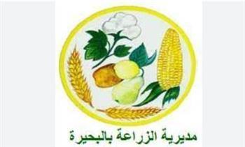 البحيرة .. وفد الـ" فاو " يتفقد مصنع الأخشاب وأرض ثلاجة حفظ التمور بإدكو